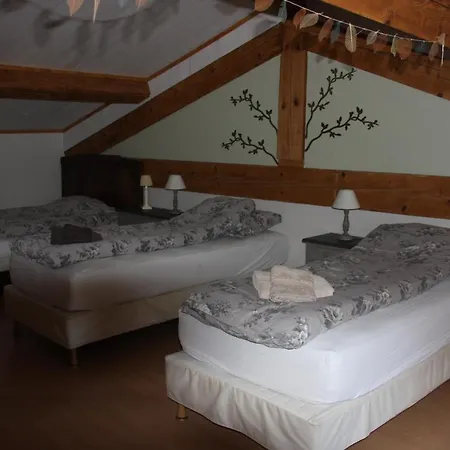 Le Pelerin 3*