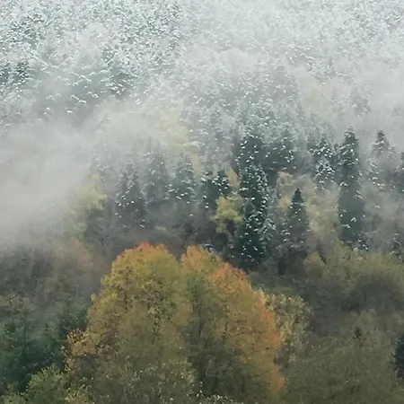 Le Pelerin 3* Montségur