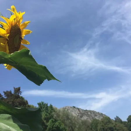 Frühstückspension Le Pelerin Montségur